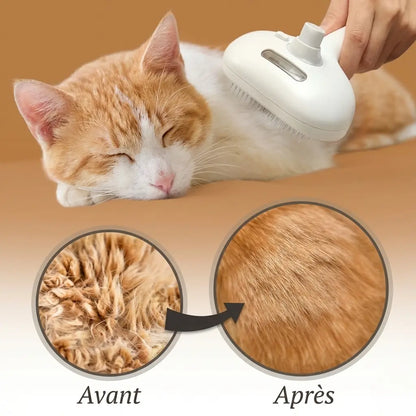 VapoBrosse 3-en-1 pour chiens et chats